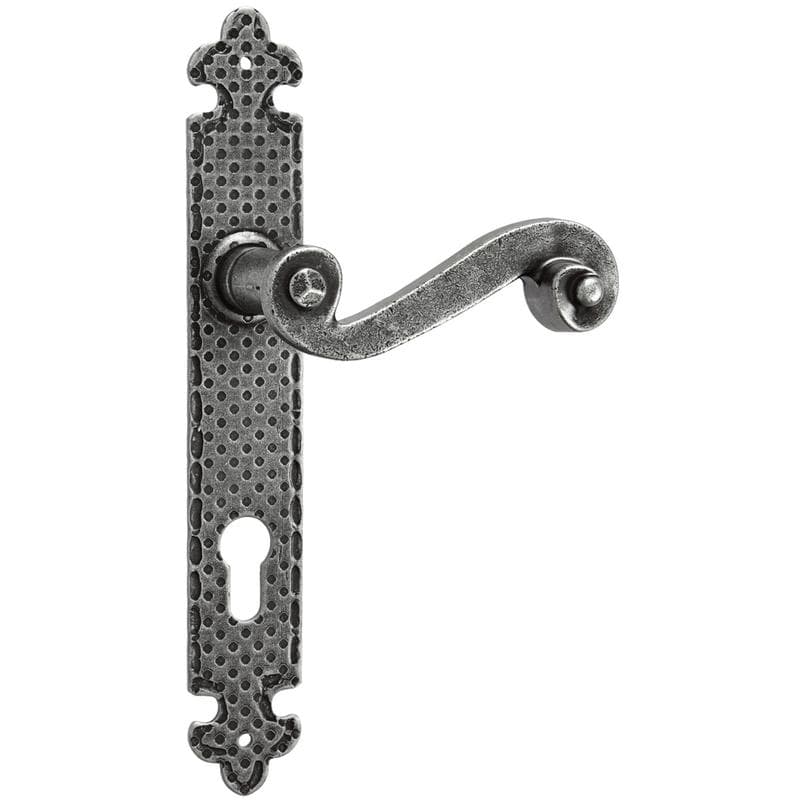 Maniglia con placca in Ferro - Immagine 1