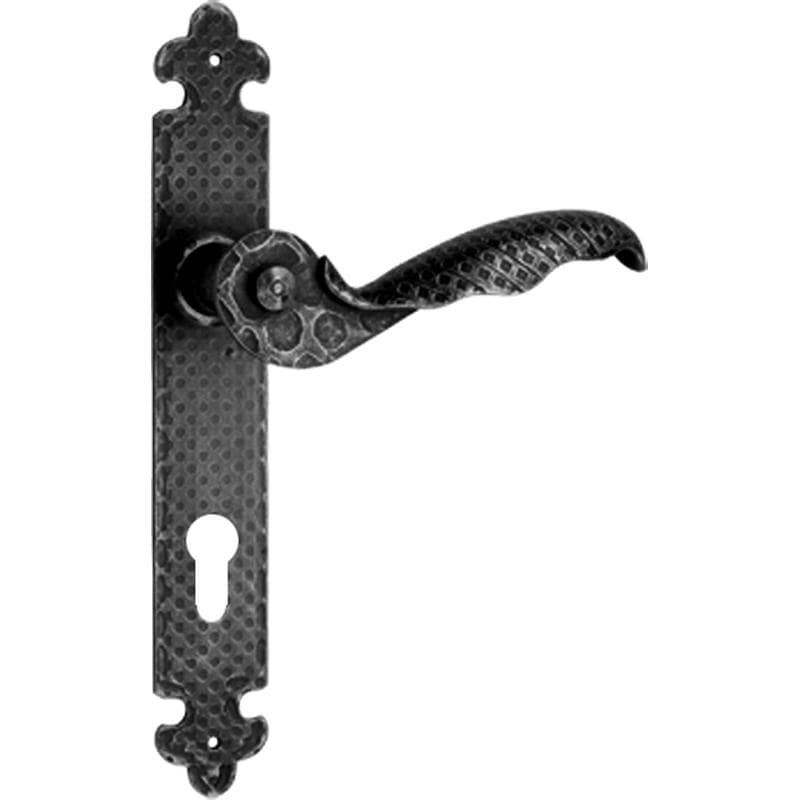 Maniglia con placca in Ferro - Immagine 1