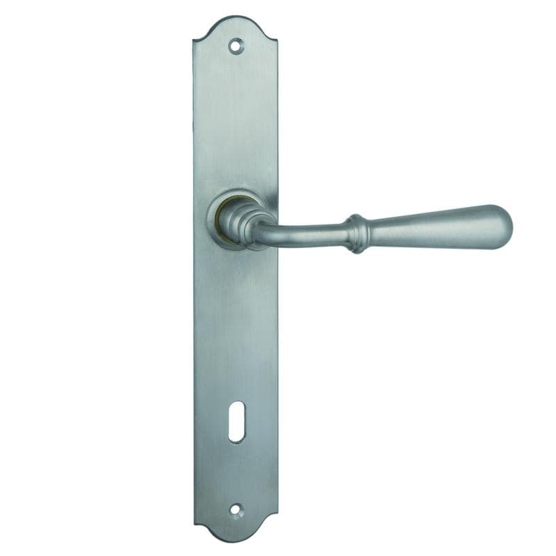 Maniglia con placca in Inox AISI 304 - Immagine 1